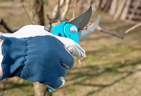 12976660_xl_mazs.jpg 12976660_xl_mazs.jpg