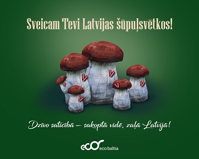 2016 18 nov sveic EBG_S.jpg