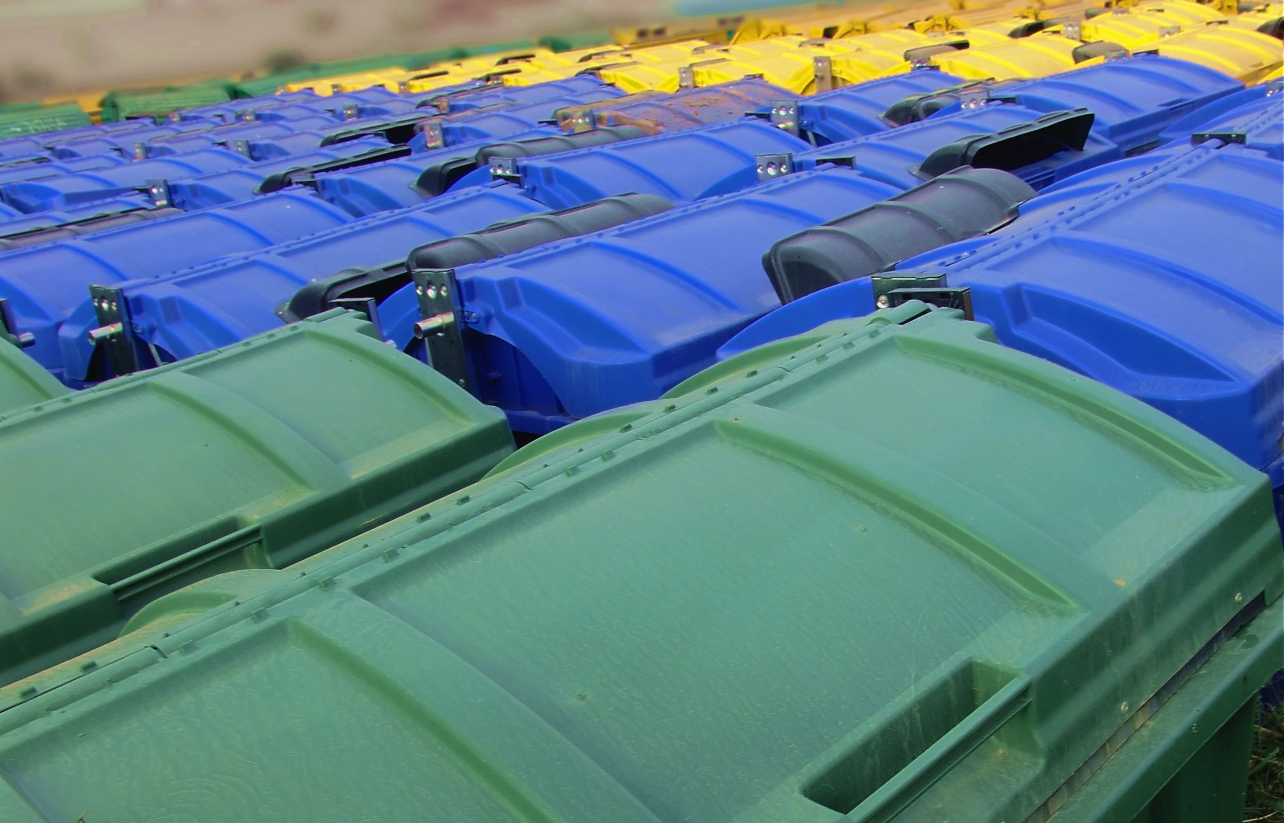 2639156_xl - Copy.jpg