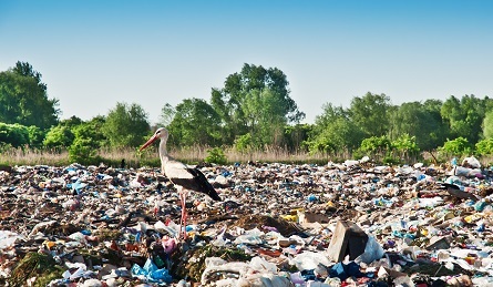 Atkritumi_starkis_M2.jpg Atkritumi_starkis_M2.jpg